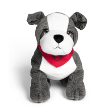 Load image into Gallery viewer, MINI Bulldog 2.0 - Grey/White
