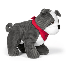 Load image into Gallery viewer, MINI Bulldog 2.0 - Grey/White
